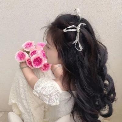非洲孤狼